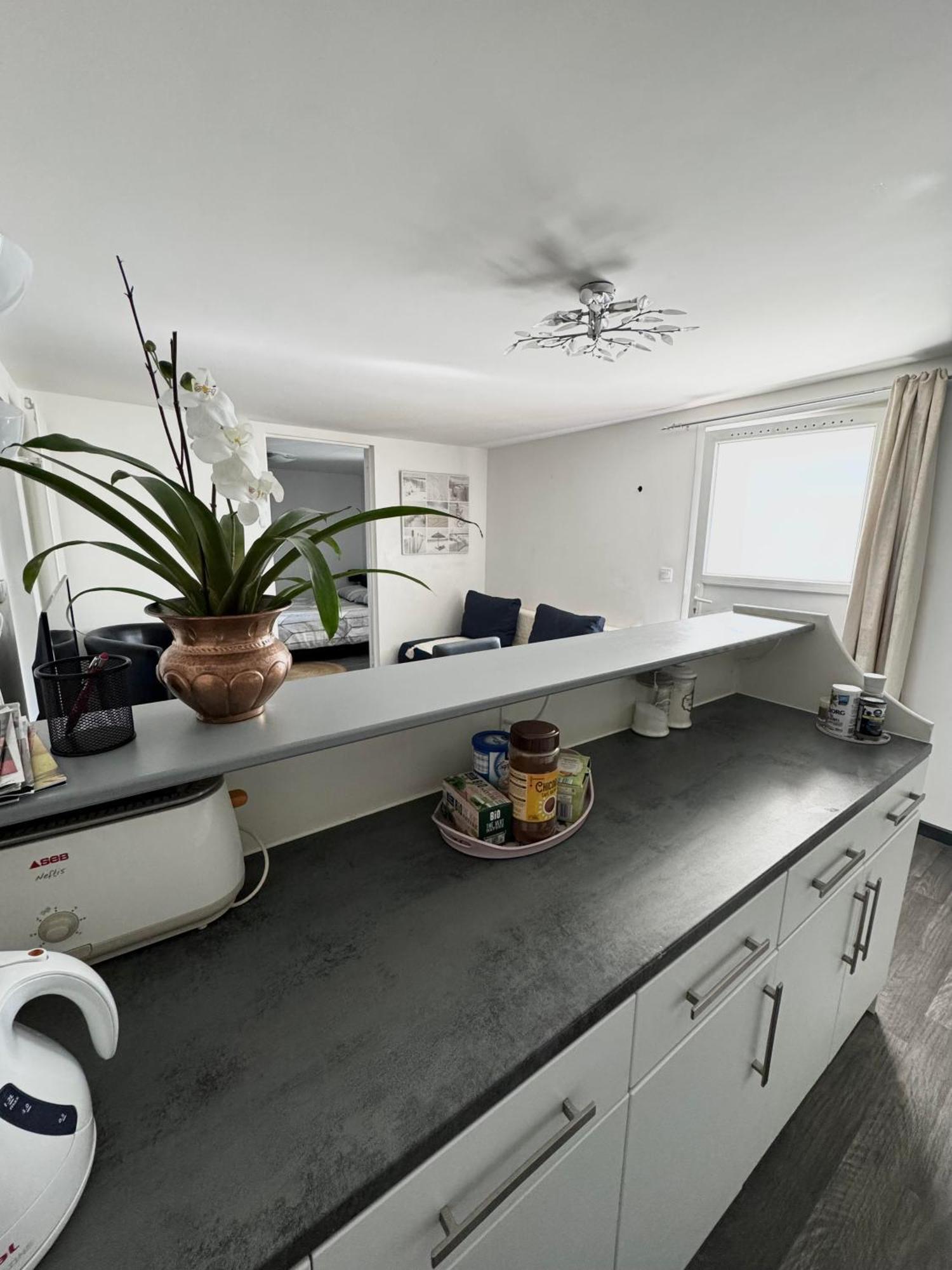 Appartement Detox Au Pied Du Semnoz Seynod Exterior photo